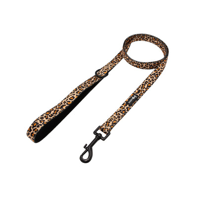 'Sass Gone Wild' Fabric Dog Leash