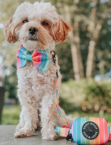 'Sassy Stripes' Dog Waste Bag Holder