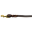 Twisted Leather Leash