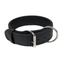 Viper Biothane Working Dog 2 Inch Collar